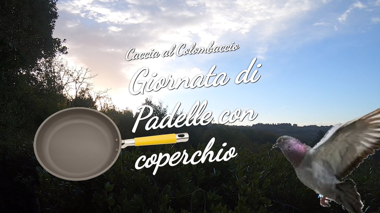 Caccia al colombaccio   Padelle con coperchio2026 -Wood Pigeon Hunting 'Pans with Lid 2026'