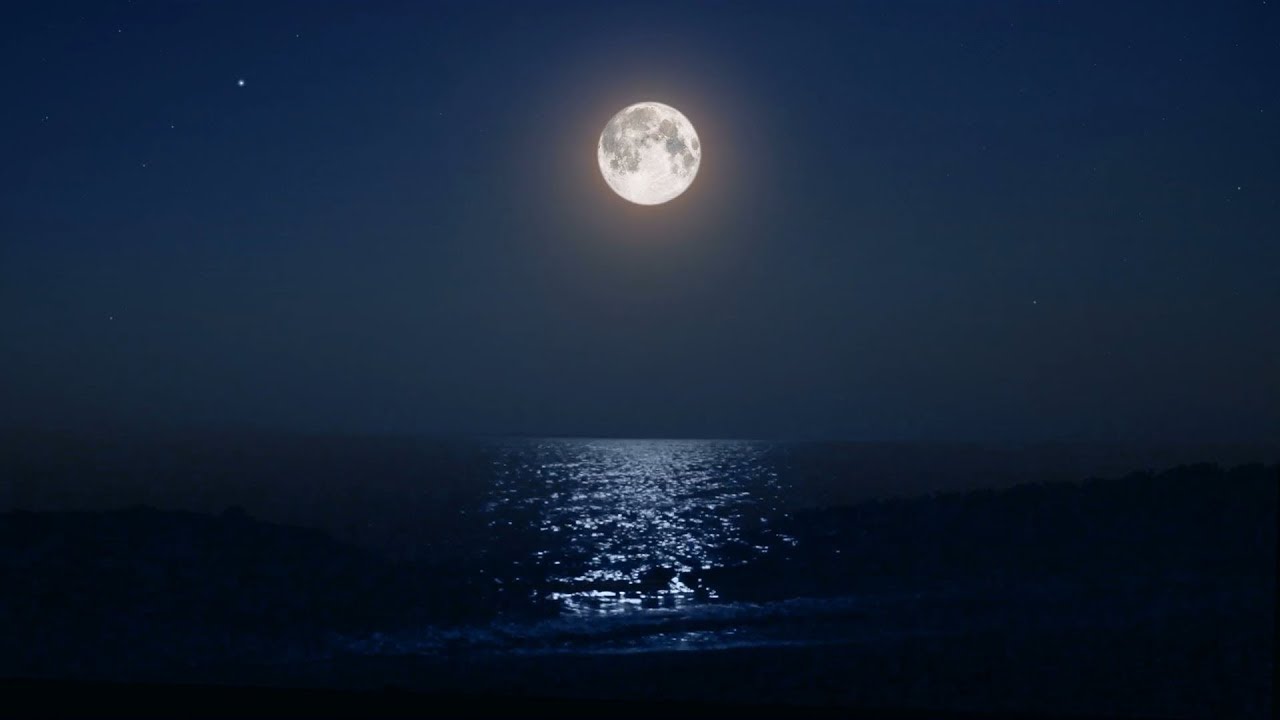 Nature's Lullaby: Relaxing Music for Stress-Free Living