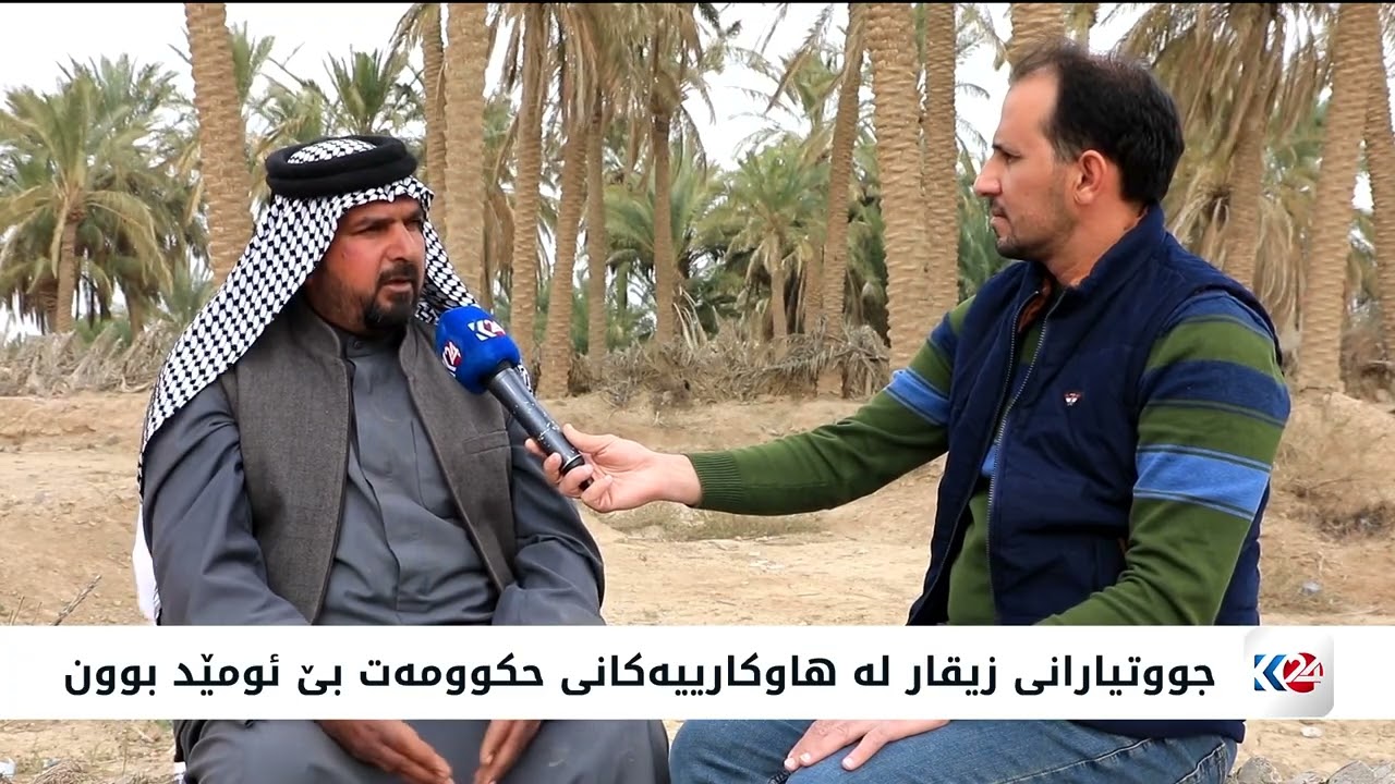 بەهۆی کەمی باران بارین بەرهەمی زەوییەکانی پارێزگای زیقار لەناوچووە