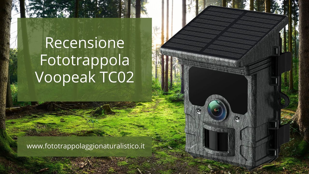 Recensione fototrappola Voopeak TC02 #fototrappolaggio