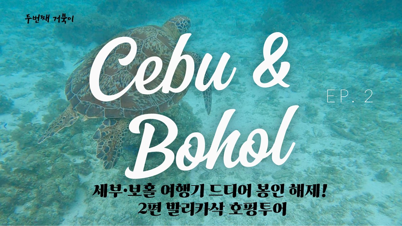 세부·보홀 여행기 드디어 봉인 해제! 2편 발리카삭 호핑투어(보홀 꼬치맛집)