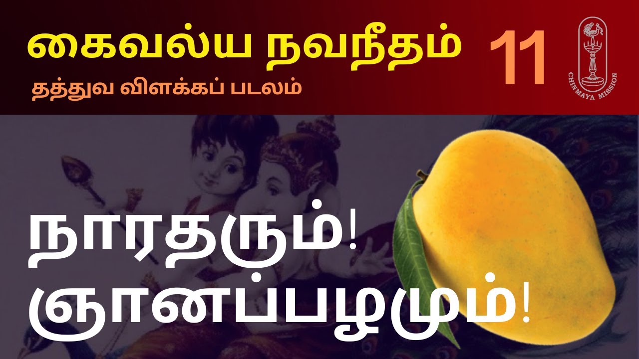 நாரதரும்! ஞானப்பழமும்! கைவல்ய நவநீதம், தத்துவ விளக்கப் படலம்