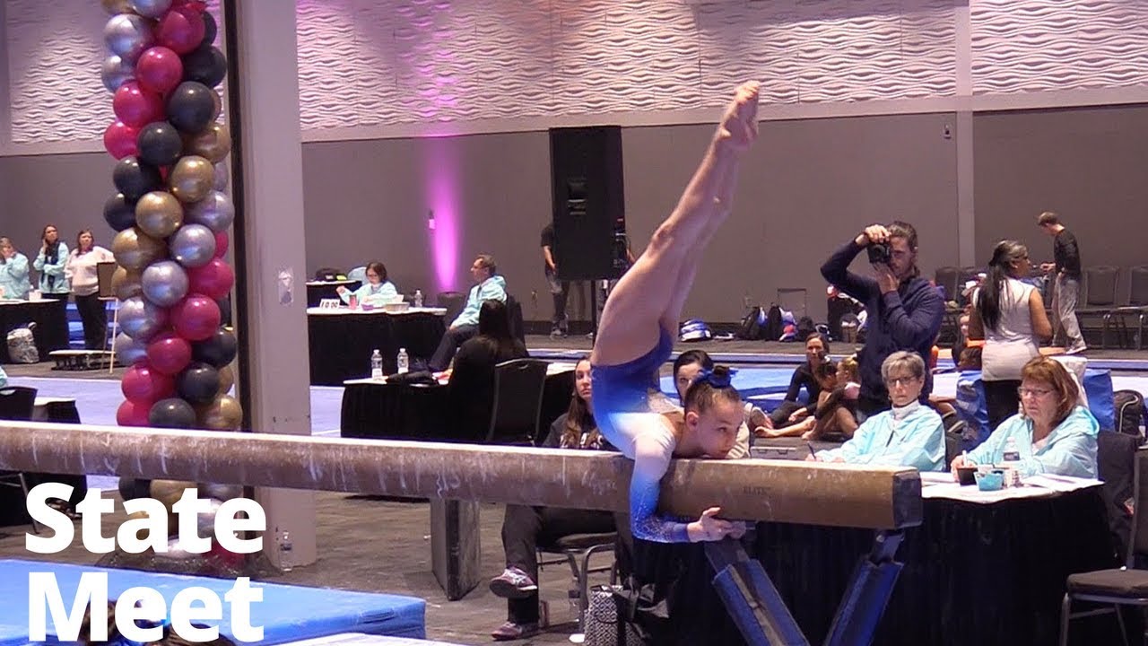 2018 North Carolina State Gymnastics Meet | Level 10 | Madison Ulrich