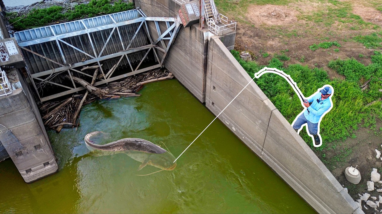 The HUNT for a 100LB CATFISH!!! (Powerful Fish inside Spillway!)
