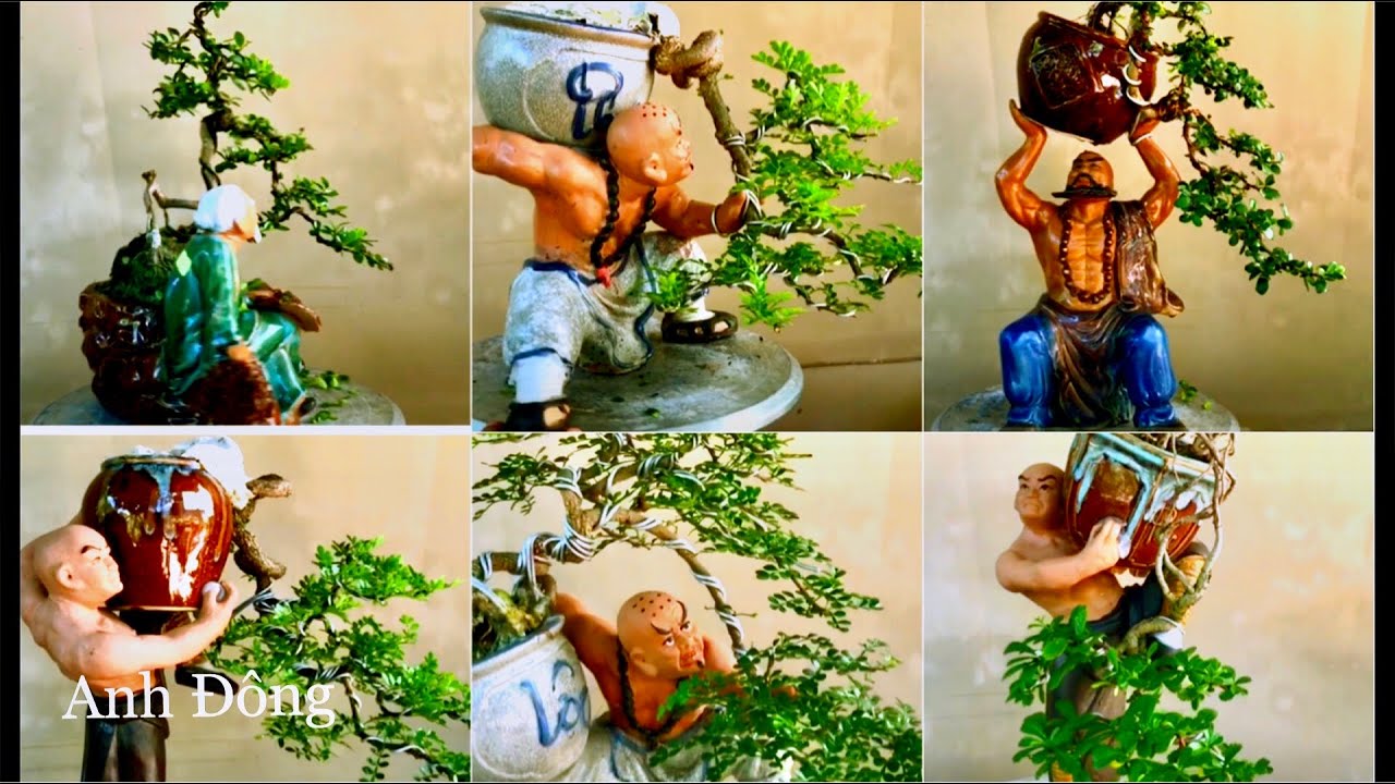 Bộ sưu tâp bonsai chậu ông tượng