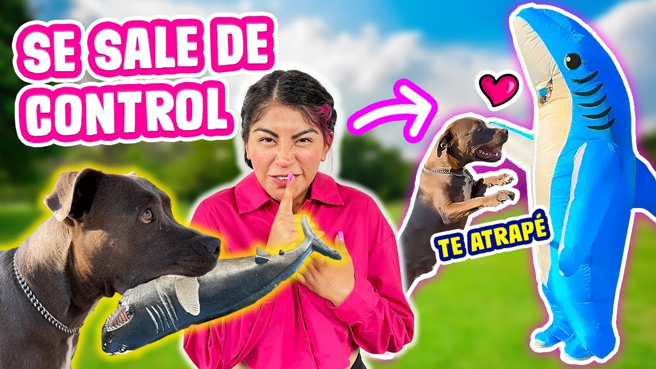 ME DISFRAZO DEL JUGUETE FAVORITO de OSO 🦈 Cumplí su SUEÑO 🥰 | CONNY MERLIN