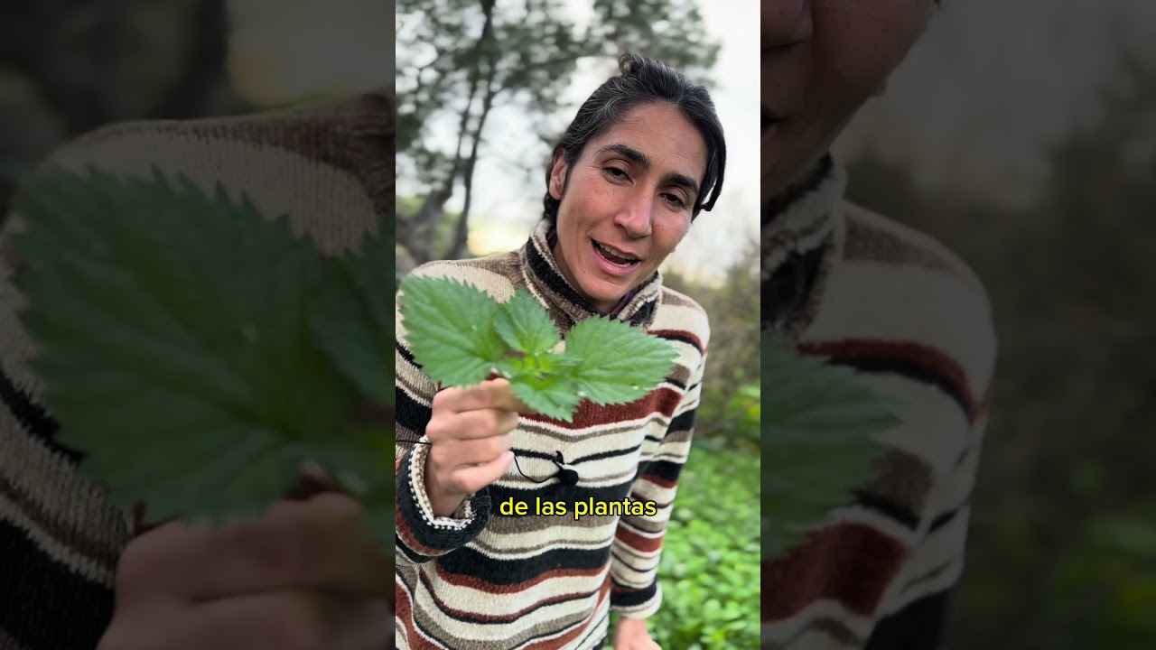 La planta que NO te venden