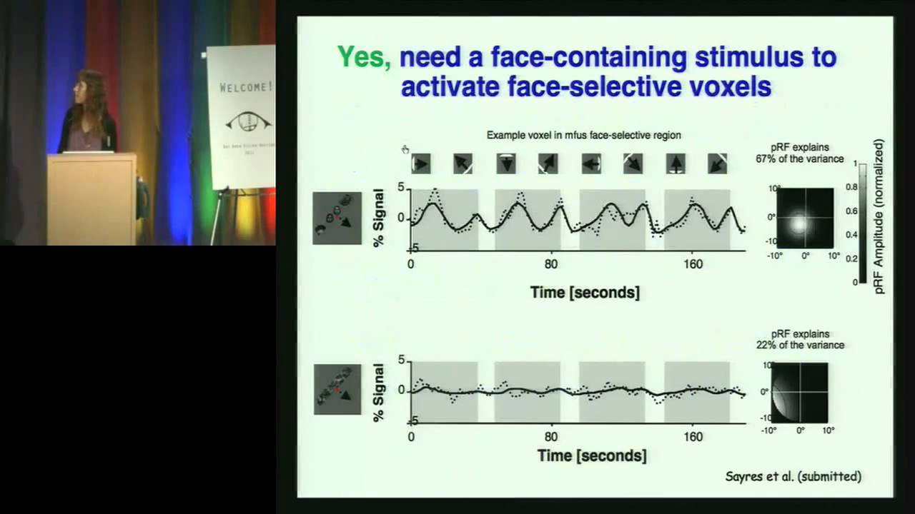 Bay Area Vision Meeting: Position-Dependent Face Processing: Insights from the Human Brain