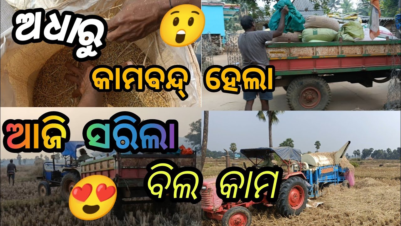 ପବନ କାମ କରେଇ ଦବନି🤦//Raju Lifestyle vlogs//Bila Kama Khatam😍