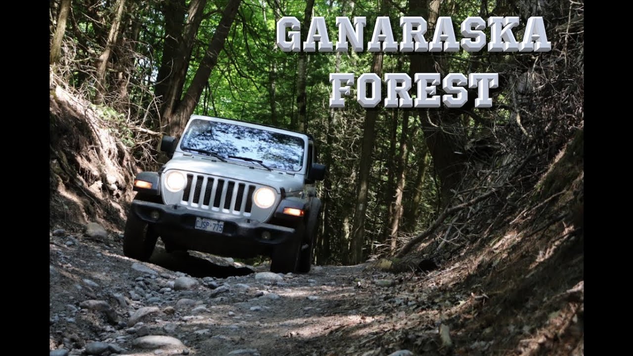 Exploring Ganaraska Forest (PERFECT FOR NEW OFF-ROADERS)