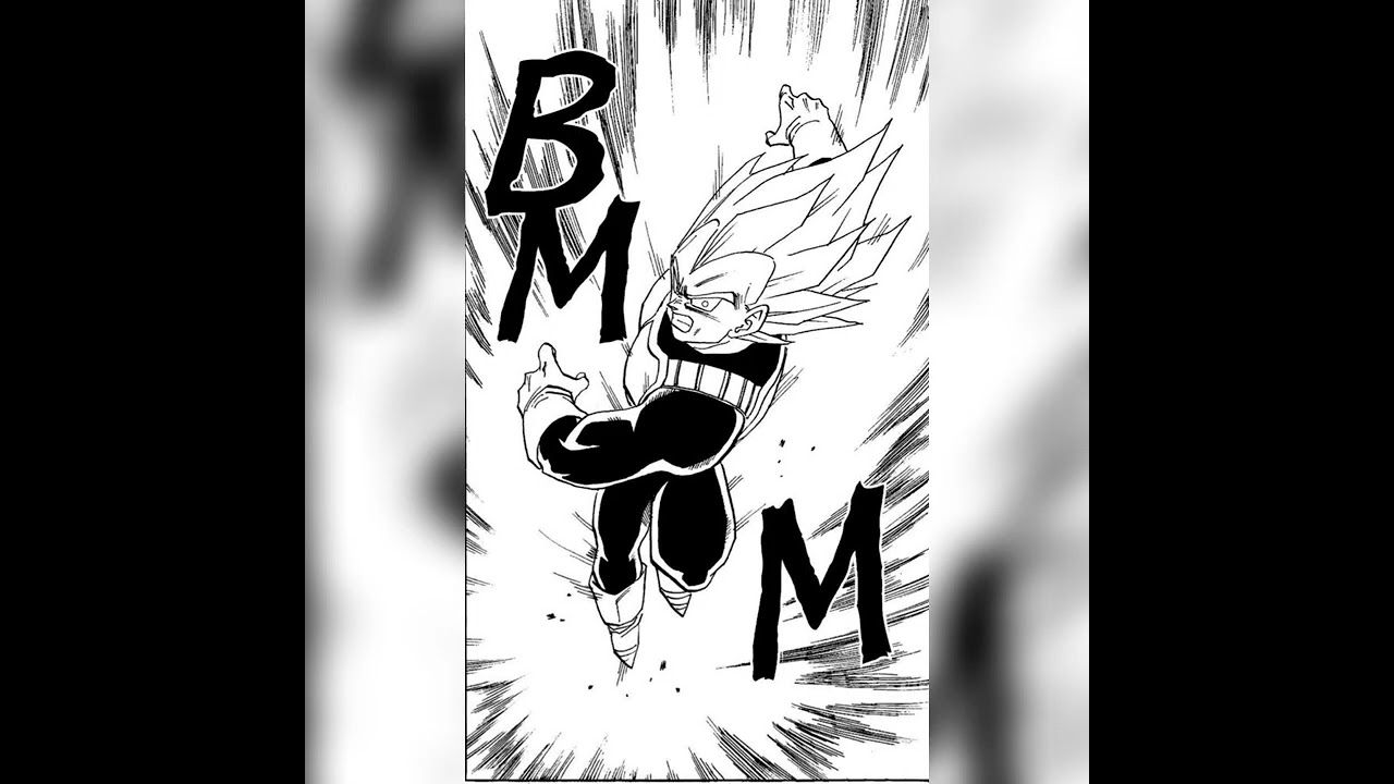 VEGETA tribute 