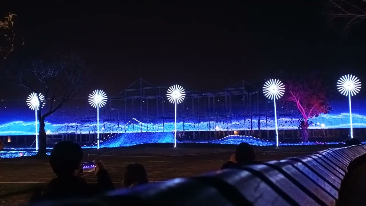 縣民公園燈光秀 6