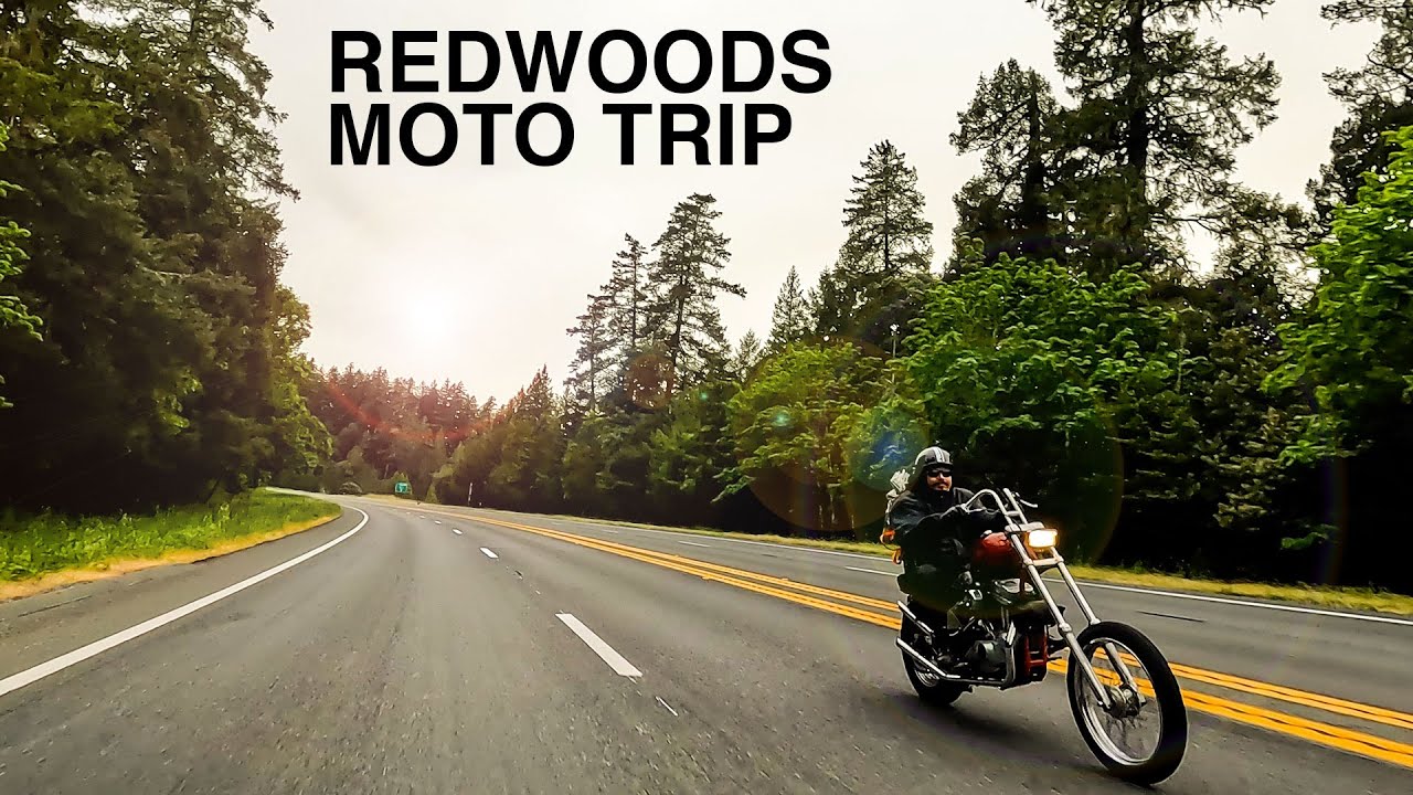 Avenue of the Giants: Motorcycle Camping Trip 2025