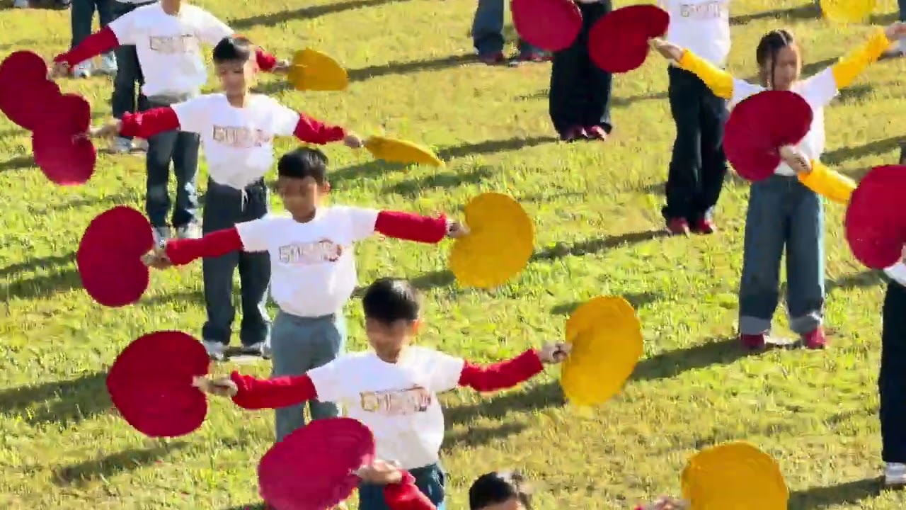 CSA JUBILATION 2026 GRADE 1 FIELD DEMO