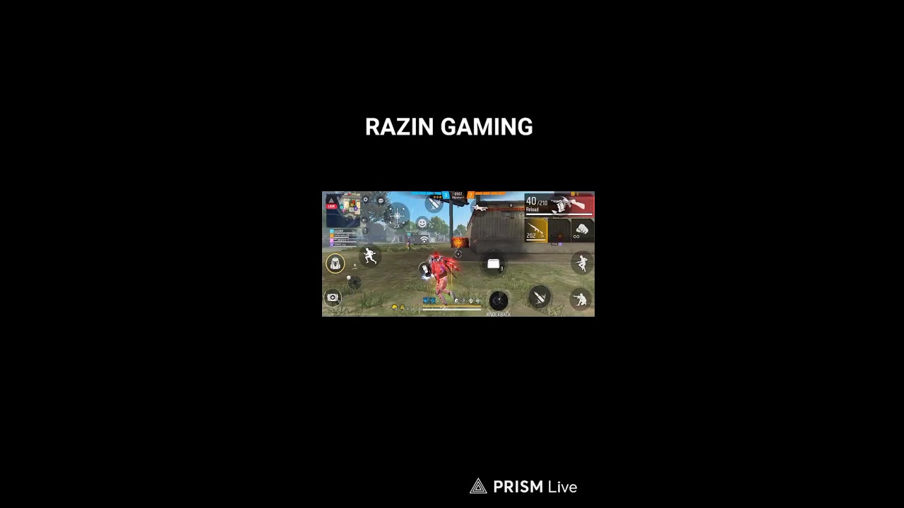 free fire live stream