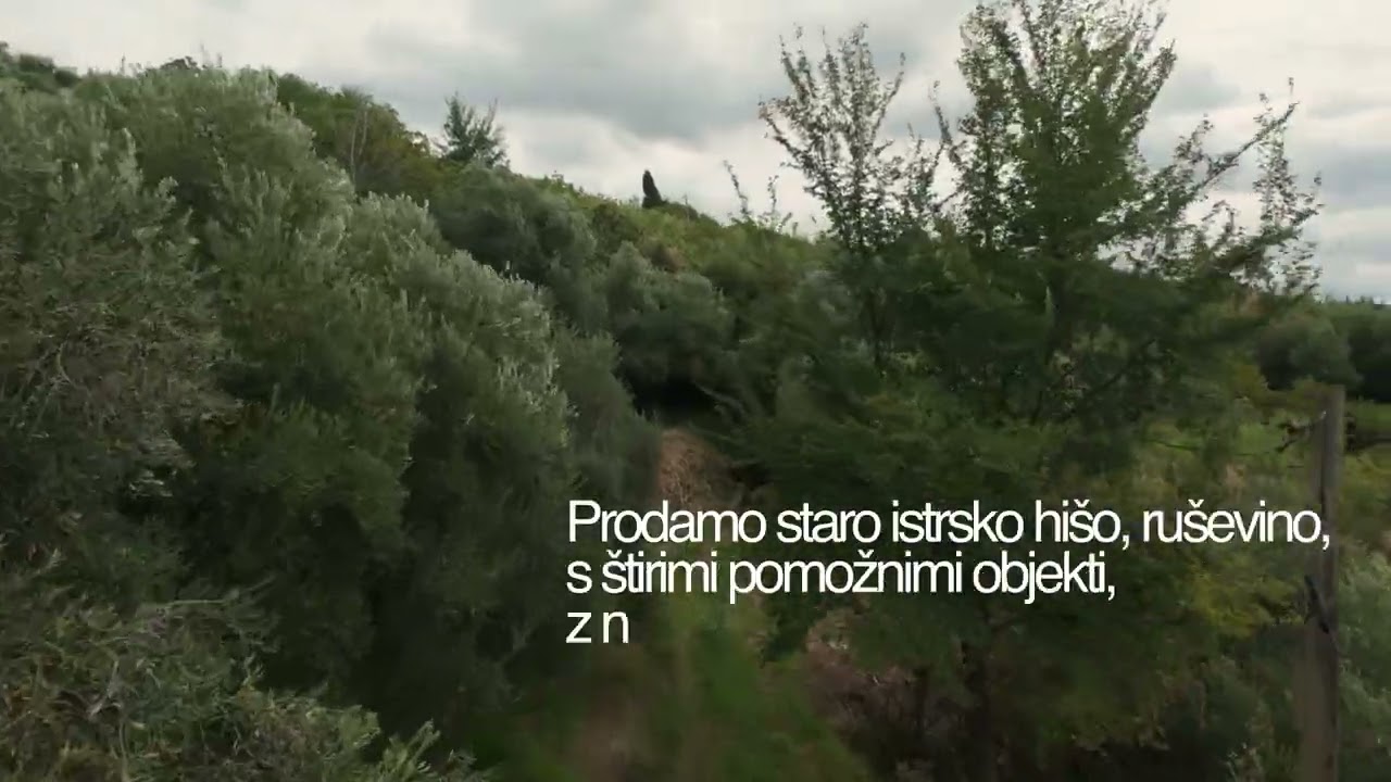 Lucija, Seča, pod Nožedom I Obala Nepremičnine