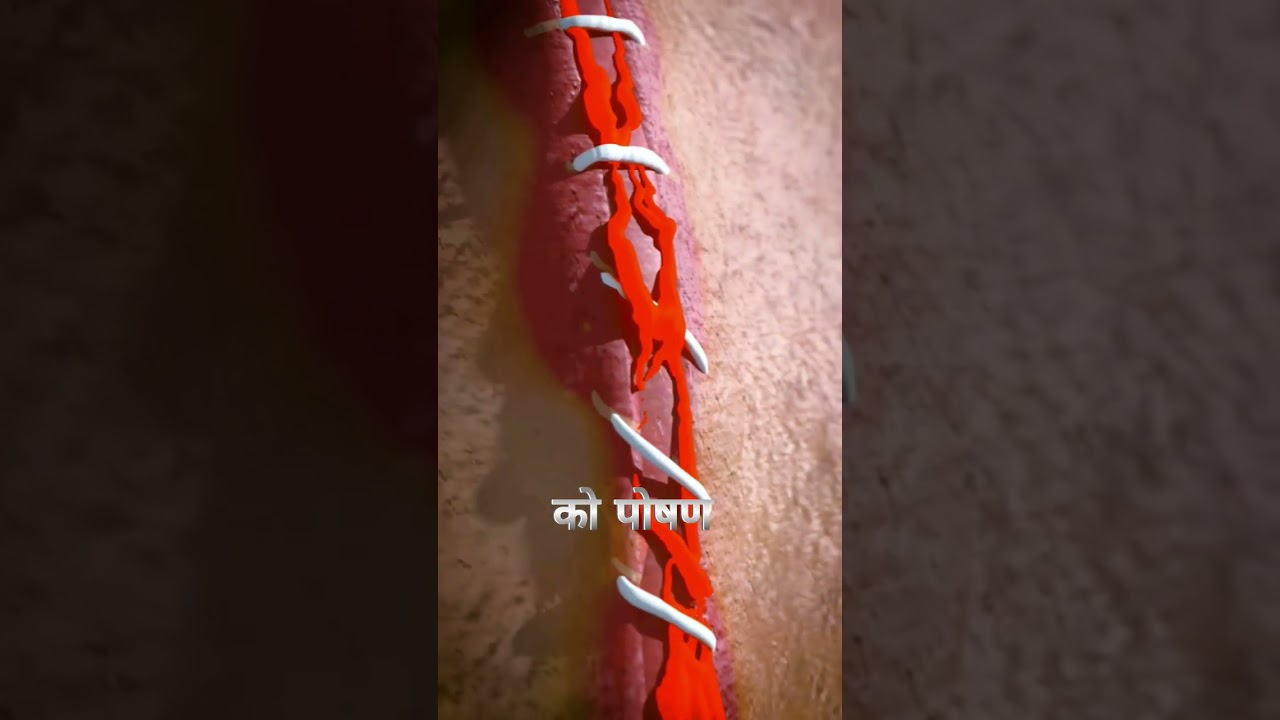 How the body heals wounds ? 3D animation #humanbody #medicalarts