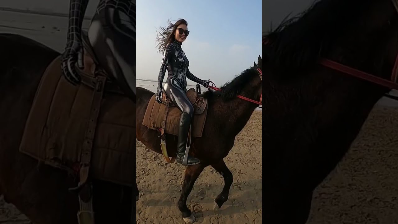 Girl care horse and training horse in beginner