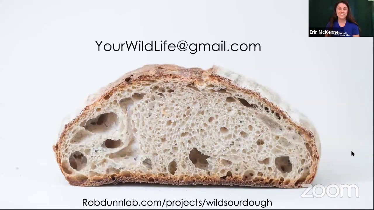 Wild Sourdough | Fermentology mini-seminars
