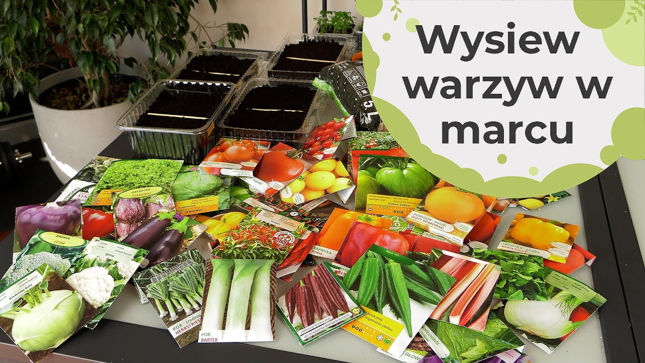 Jakie warzywa wysiewamy w marcu? Co możemy wysiać na rozsady? Wysiew warzyw