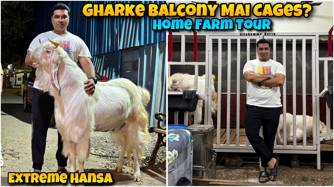 EXTREME Hansa 🤩 DREAM HOME FARM Tour at SANTACRUZ |  Ye hi Asli SHAUKEEN