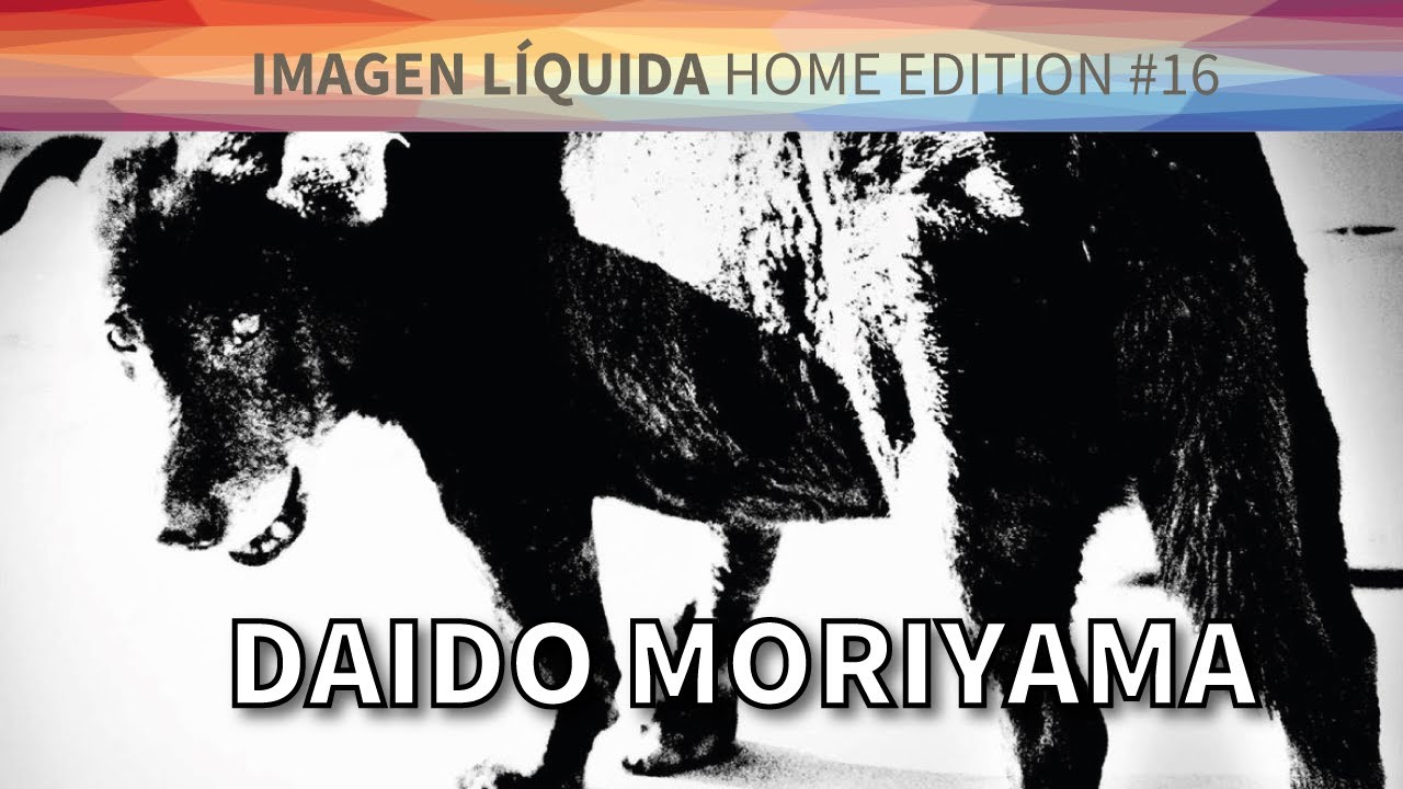 Daido Moriyama, fot&oacute;grafo