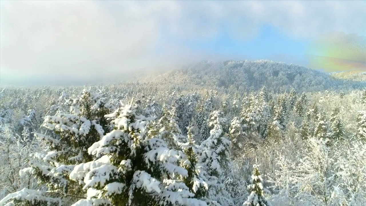 Dancing in the Snow