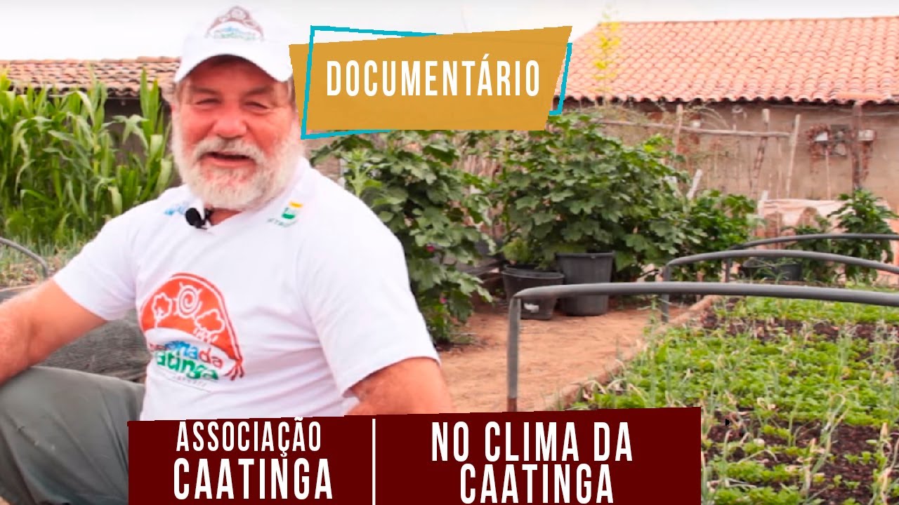 Documentário No Clima da Caatinga