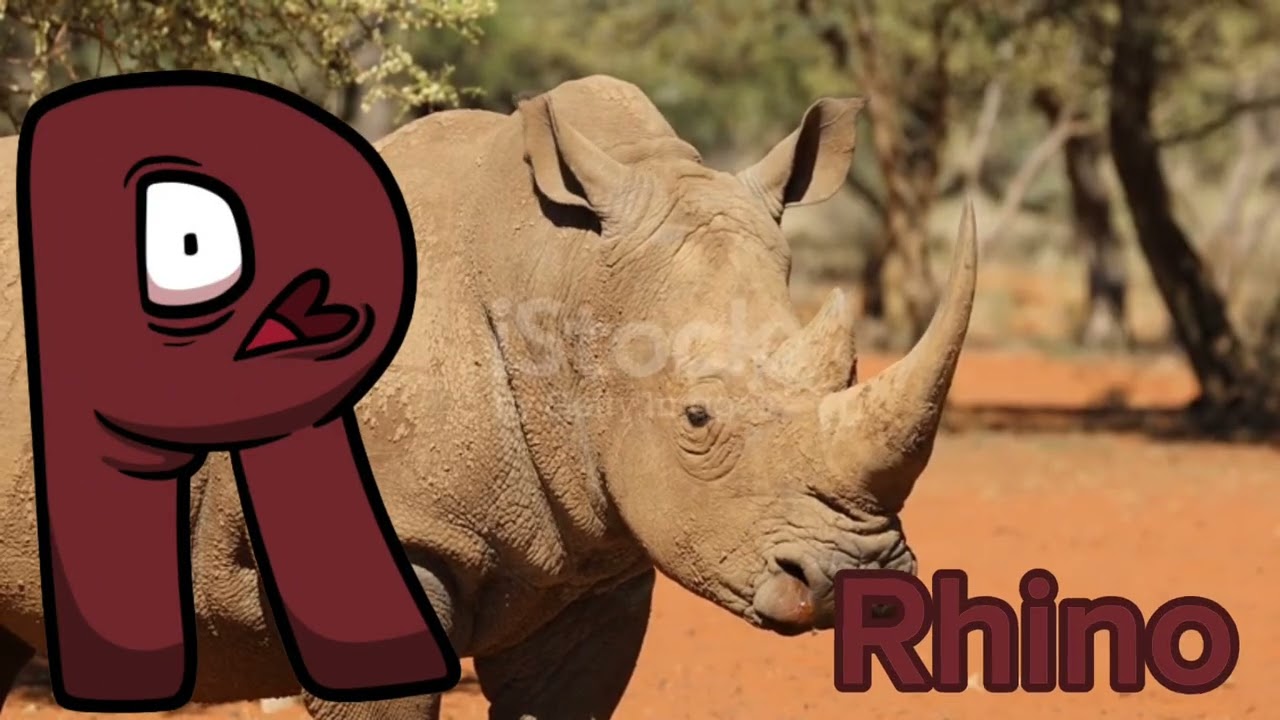 Alphabet Lore Safari Animals!
