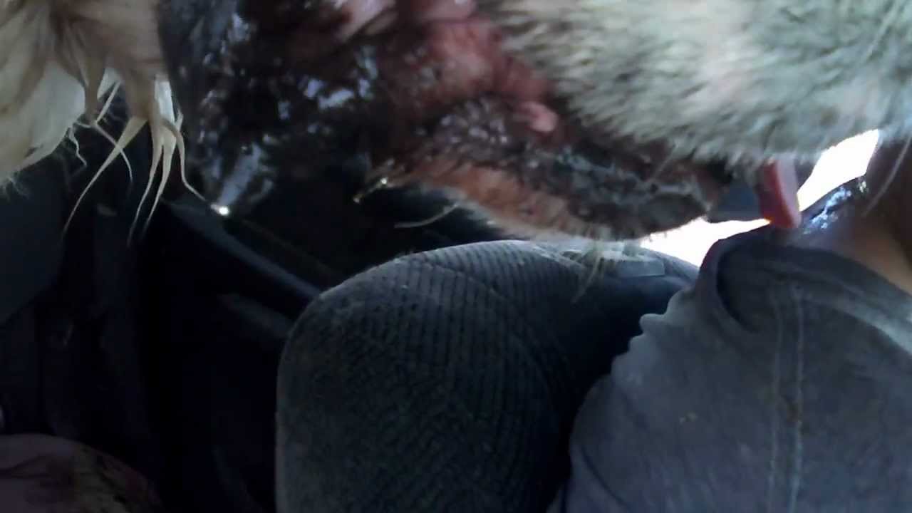 bathtime.MP4