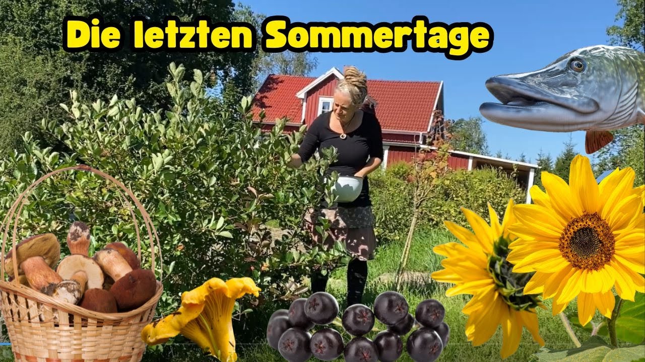 Die letzten Sommertage genießen - ernten, angeln, Pilze sammeln & kochen aus Garten und Natur