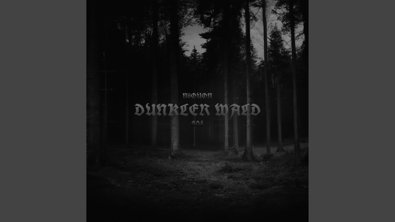 Dunkler Wald