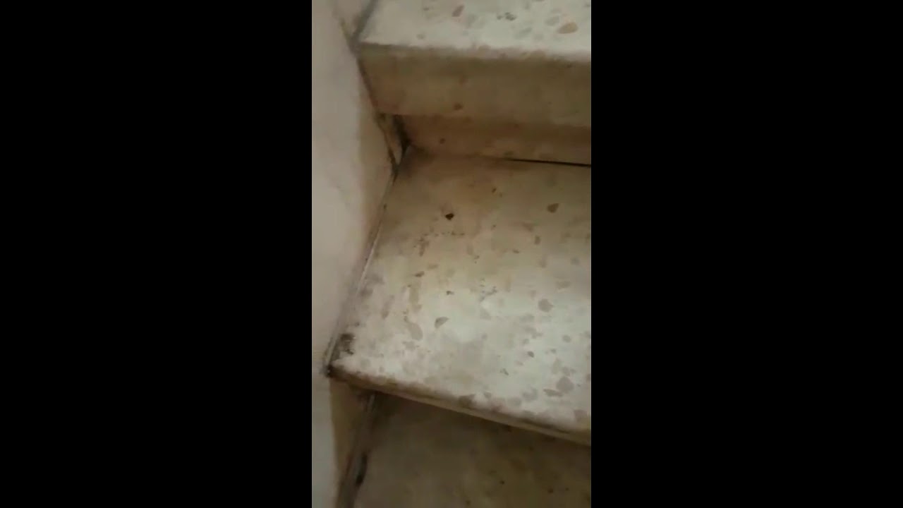 ניקוי מדרגות טרצו - קסם אמיתי - אחרי 4 דקות הכל יראה אחרת