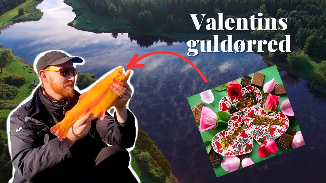 Tester ALLE de nye Valentins blink - Guldørred i Put and Take