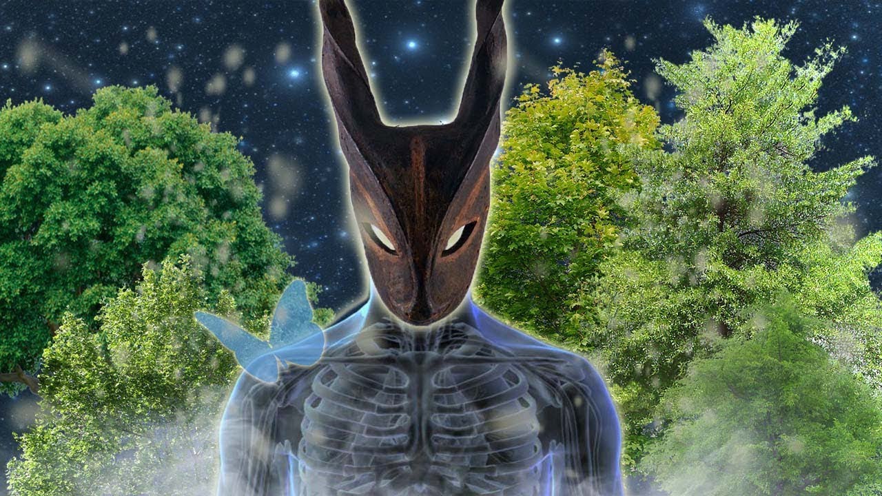 What is Animism?