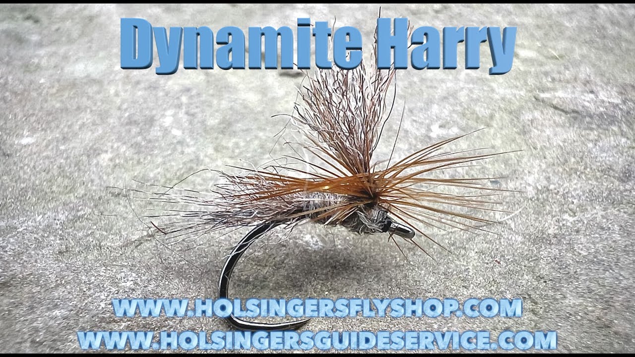 Dynamite Harry, Holsinger's Fly Shop