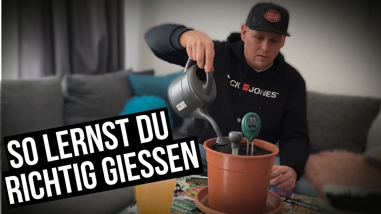 Richtig gie&szlig;en f&uuml;r Anf&auml;nger 🌱 Mit dem Blumat Digital zur perfekten Bew&auml;sserung!