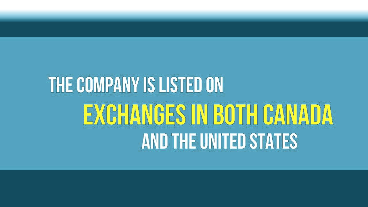NovaCopper Company Profile (NCQ)
