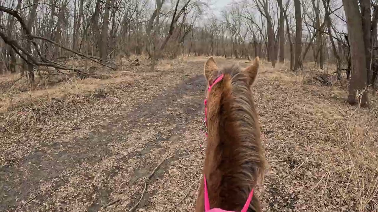 Start of ride 3/7/26