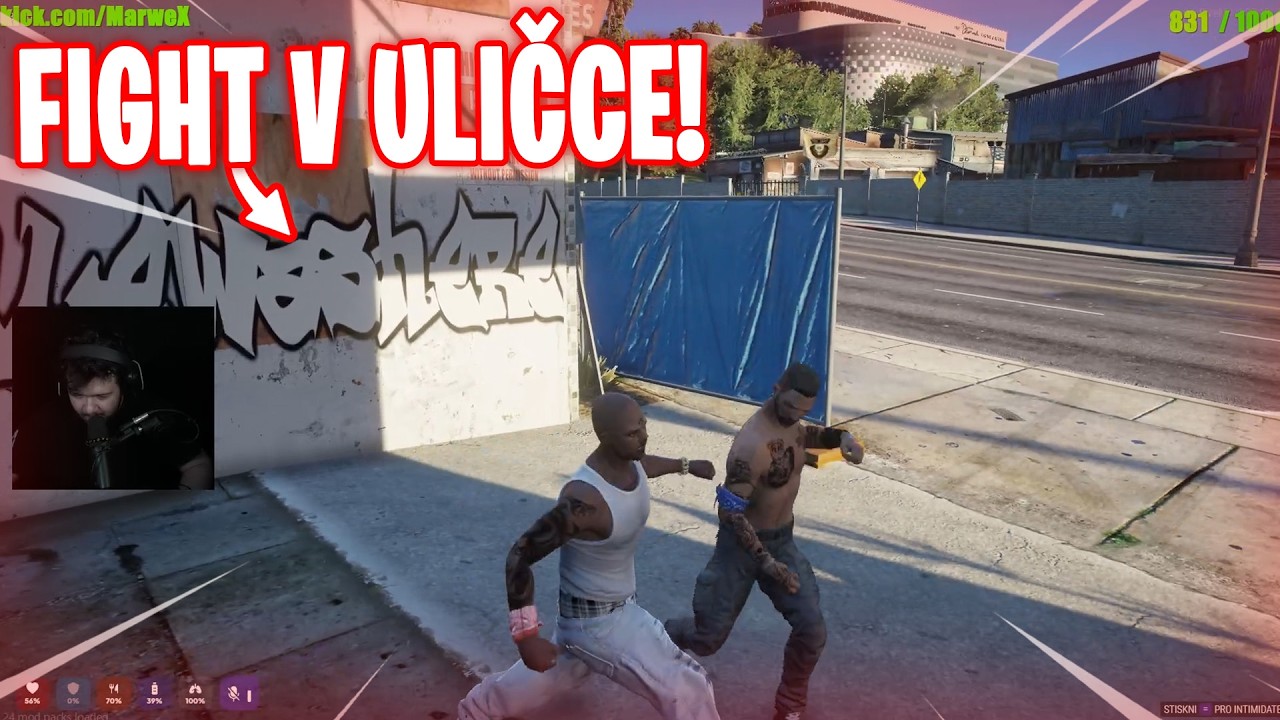 FIST FIGHT A VÁŽNEJ MEETING | COMMUNITY RP