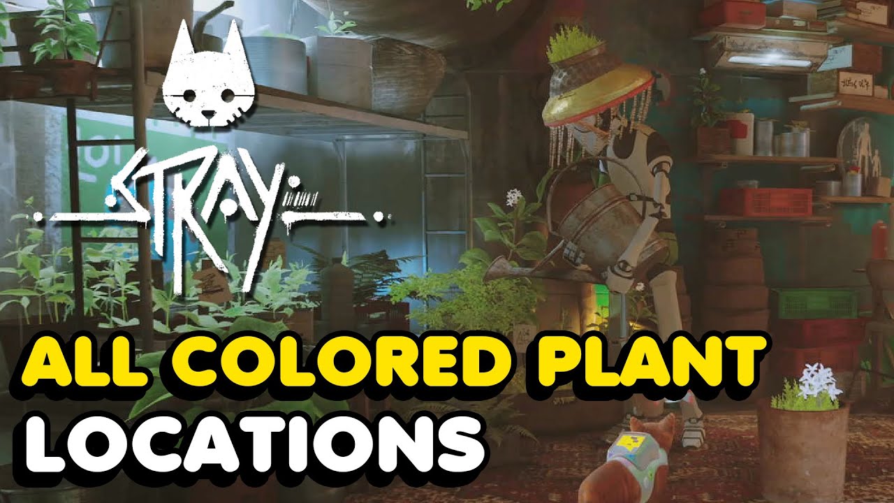 Stray - All Colored Plant Locations (How To Get The Plant Badge)