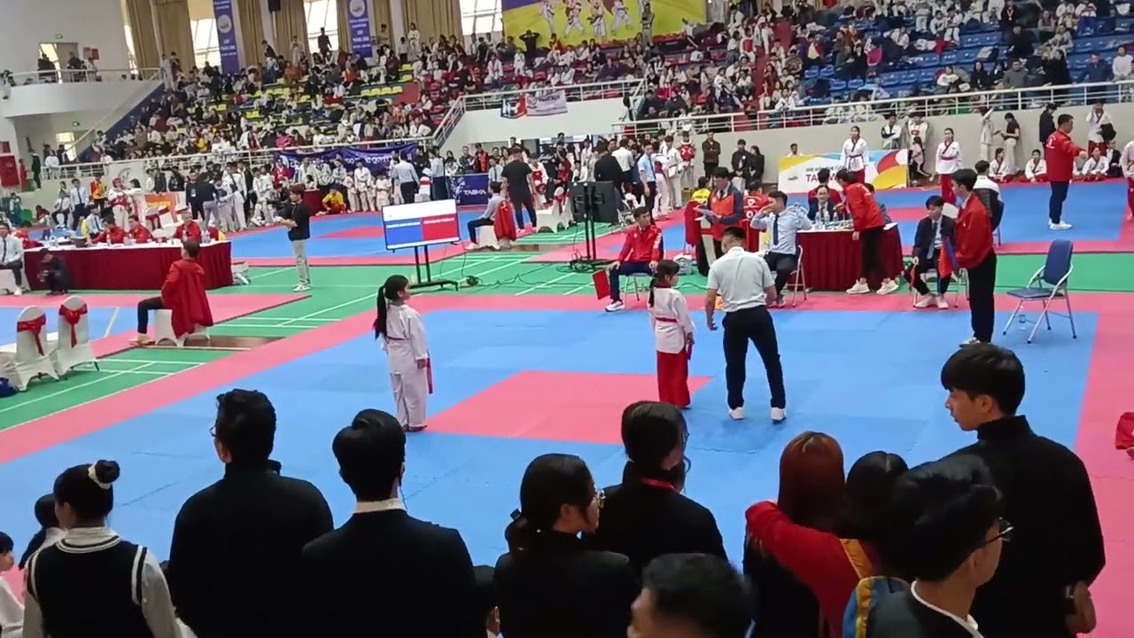 bắp