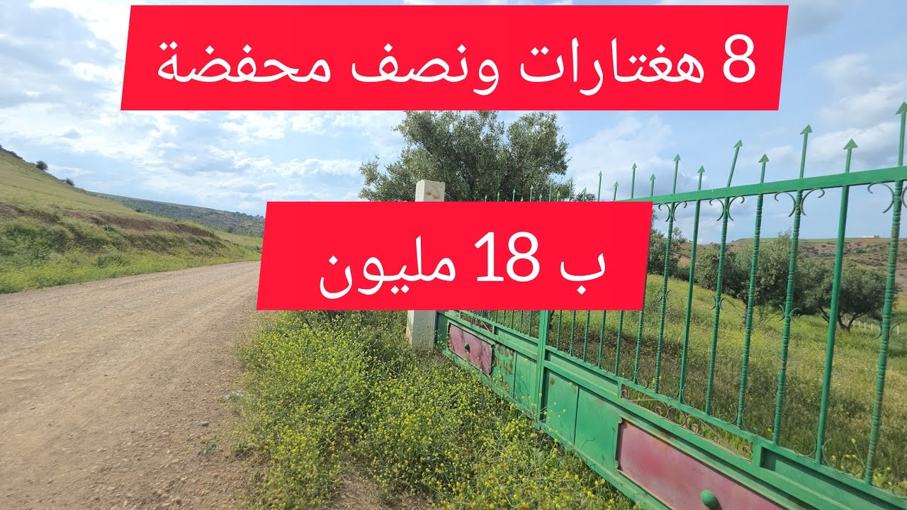 ارض فلاحية محفضة 8 هغتارات ونصف ب18مليون نواحي مكناس الماء مجود بكترة همزة#عقارات #للبيع #عقارات_علي