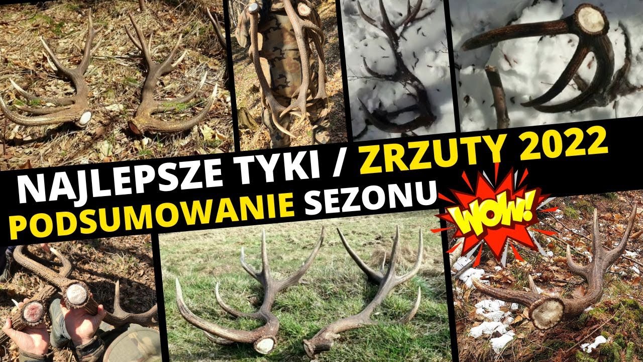 NAJLEPSZE TYKI 2022! KONKRETNE PARY i Podsumowanie sezonu. Zrzuty jelenia #deer #zrzuty #zrzuty2022