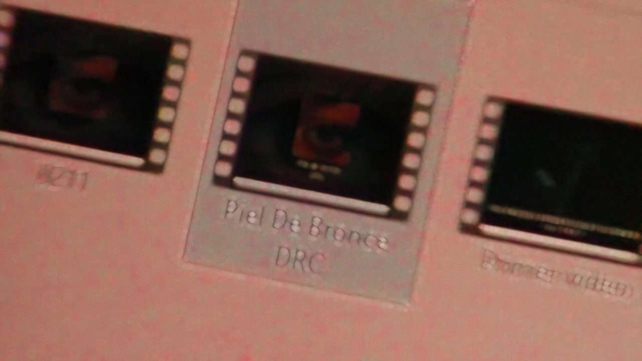 DRC - Piel de Bronce (Visualizer + Letra)