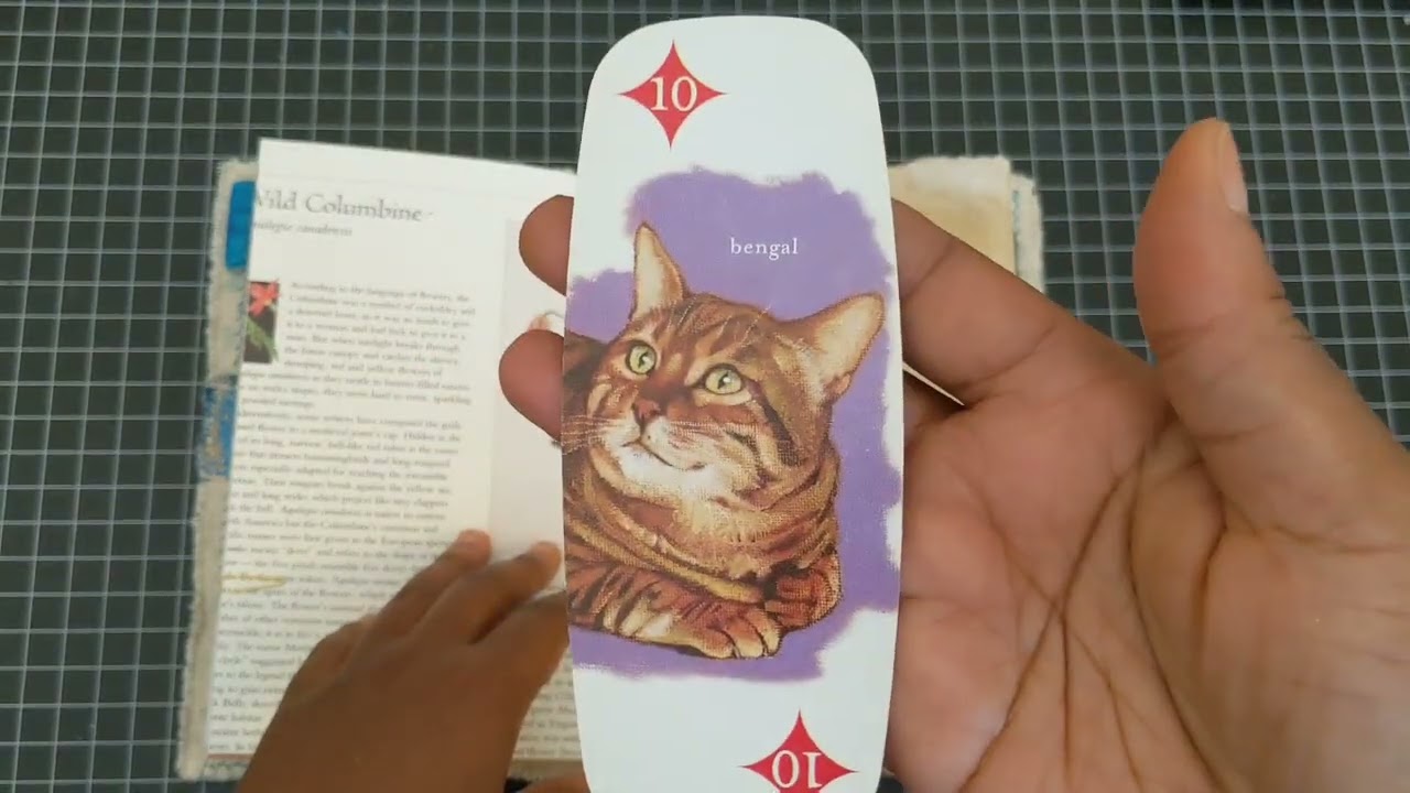 Gifted Nature Journals for @lotusandnightshade