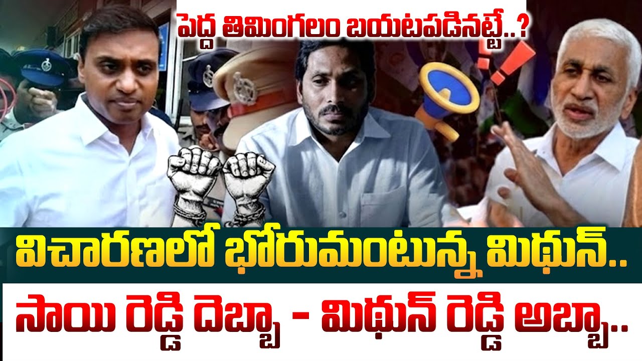 సాయి రెడ్డి దెబ్బా - మిథున్ రెడ్డి అబ్బా..పెద్ద తిమింగలం బయటపడినట్టే..Vijay Sai Reddy | Midhun Reddy