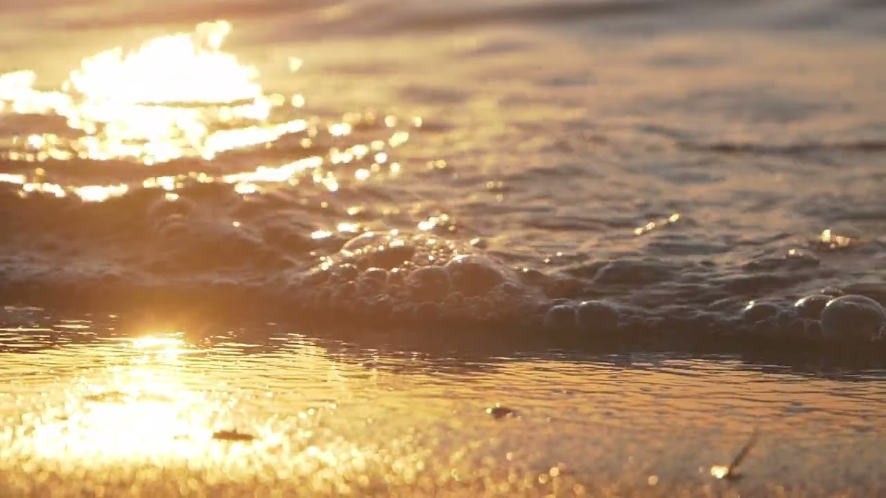Sand beach detail at sunrise, tracking shot | Free stock footage