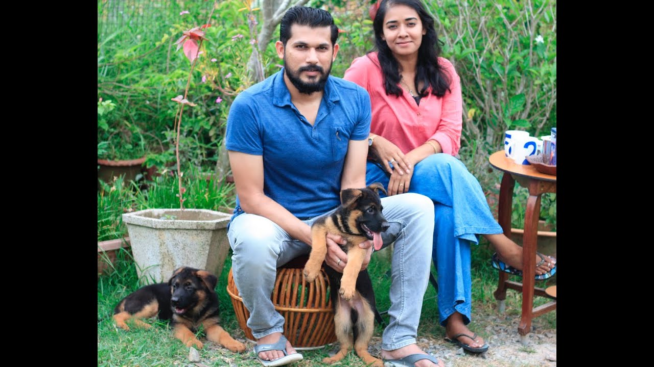 German Shepherd Breeder in India II Wildlife Enthusiast II Tailwaggers