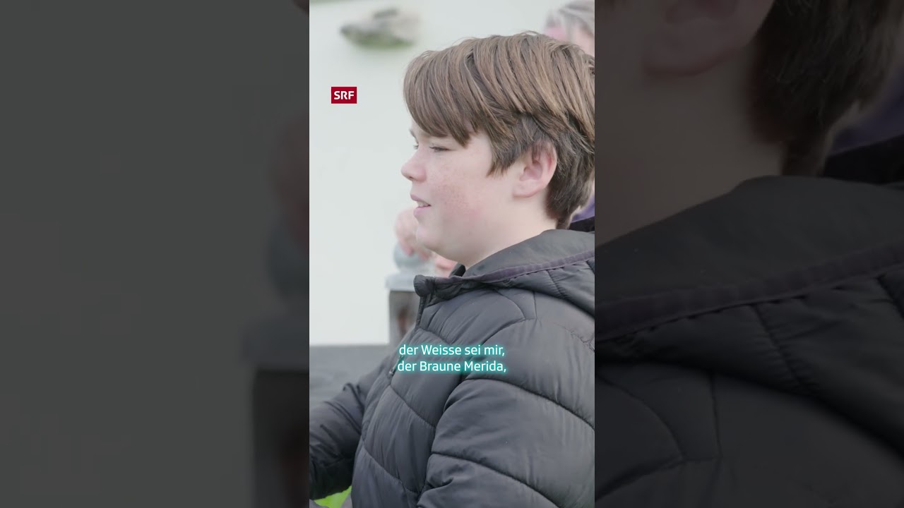 Niall wohnt mit vielen Tieren zusammen | #Shorts | SRF Kids Inside | Kindervideos